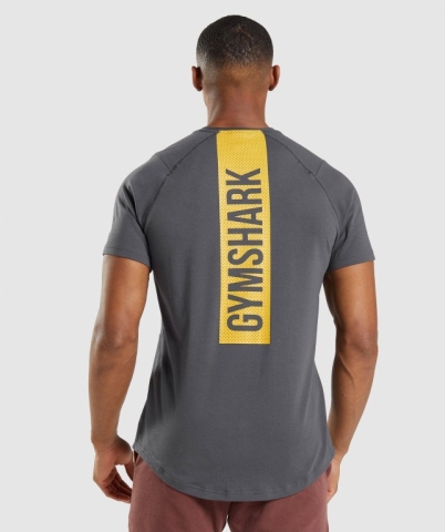 Black Grey Gymshark Bold Men's T Shirts | US-34GKOEF