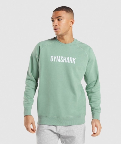 Blue Gymshark Apollo Crew Men's Hoodies | US-20PHYVJ