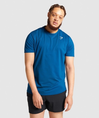 Blue Gymshark Arrival Regular Fit Men's T Shirts | US-04CUIMW