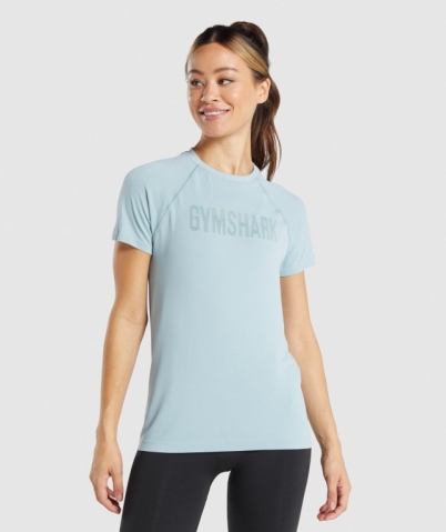 Blue Gymshark Fit Seamless Loose Women's T Shirts | US-72QXGSO