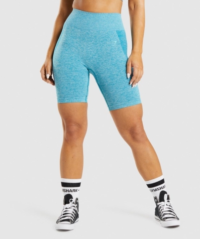 Blue Gymshark Flex Cycling Women's Shorts | US-72GXBCQ