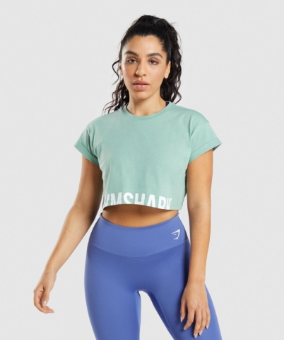 Blue Gymshark Fraction Crop Top Women's T Shirts | US-73DZRVE