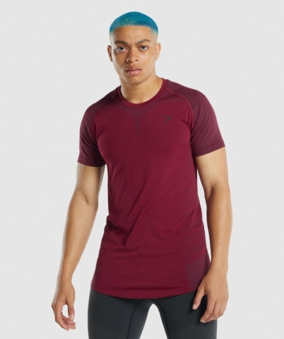 Burgundy Gymshark 315 Men's T Shirts | US-84QDACG