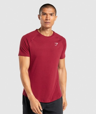 Burgundy Gymshark Bold Men's T Shirts | US-51YPLXK