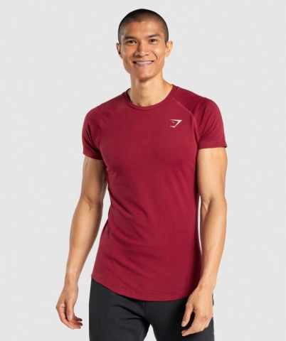 Burgundy Gymshark Bold Men's T Shirts | US-72CBAOI