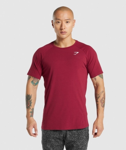 Burgundy Gymshark Critical 2.0 Men's T Shirts | US-20GYRXB