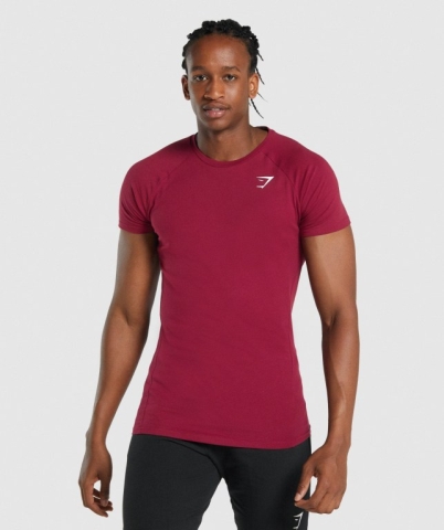 Burgundy Gymshark Critical 2.0 Men's T Shirts | US-43WZTXJ