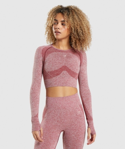 Burgundy Gymshark Flex Sports Crop Top Women's Sweatshirts | US-42FDHLE