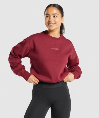 Burgundy Gymshark Pulse Women's Hoodies | US-09HENFI