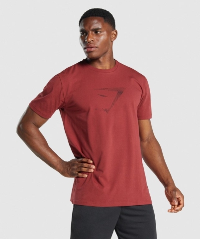 Burgundy Gymshark Sharkhead Infill Men's T Shirts | US-74NJUKR