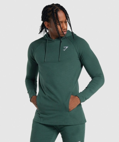 Dark Green Gymshark Critical 2.0 Men's Hoodies | US-27RAJVT