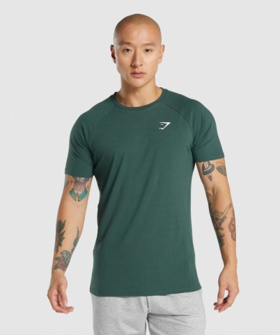 Dark Green Gymshark Critical 2.0 Men's T Shirts | US-08ZGYPN