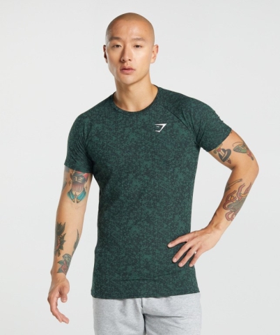 Dark Green Gymshark Critical 2.0 Men's T Shirts | US-83JXDAQ