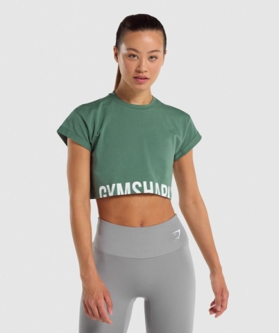 Green Gymshark Fraction Crop Top Women's Sweatshirts | US-36LCJAW