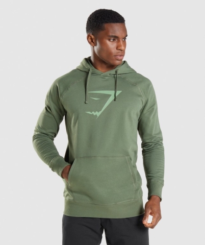 Green Gymshark Sharkhead Infill Men's Hoodies | US-02ZVLDH