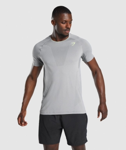 Grey Gymshark Apex Seamless Men's T Shirts | US-21DZEGQ