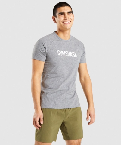 Grey Gymshark Apollo Men's T Shirts | US-06GJAID