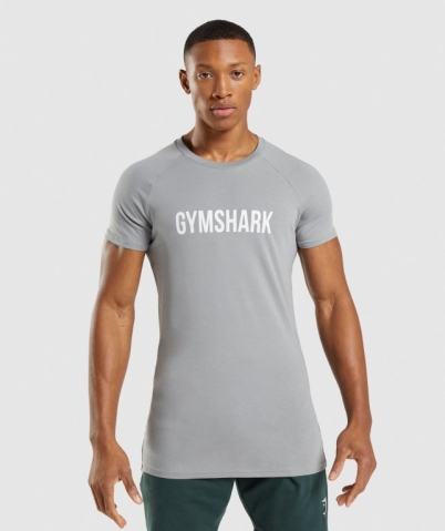 Grey Gymshark Apollo Men's T Shirts | US-21FWYLS