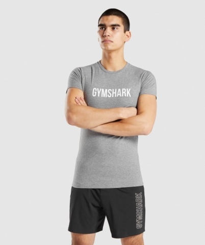 Grey Gymshark Apollo Men's T Shirts | US-37TRAGH