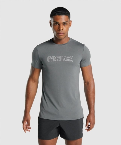 Grey Gymshark Arrival Graphic Men's T Shirts | US-25LKNYC