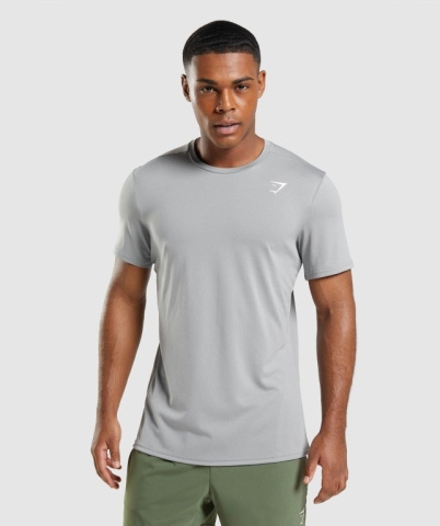 Grey Gymshark Arrival Men's T Shirts | US-09USDGT