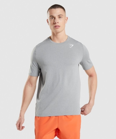 Grey Gymshark Arrival Seamless Men's T Shirts | US-89WEBFT