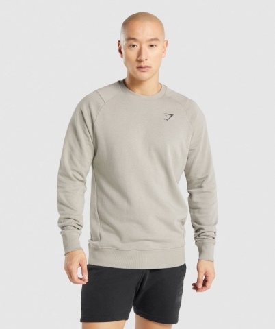 Grey Gymshark Bold Crew Men's Hoodies | US-96XLRBF