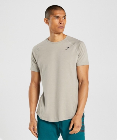 Grey Gymshark Bold Men's T Shirts | US-28SALKN