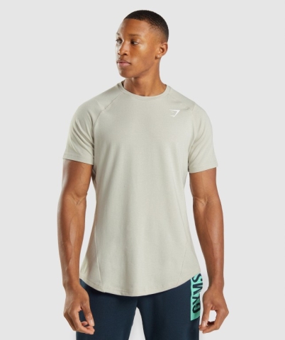 Grey Gymshark Bold Men's T Shirts | US-38APNWI