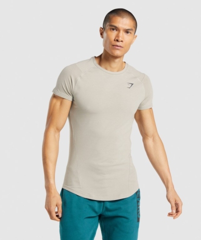 Grey Gymshark Bold Men's T Shirts | US-49ZYQRW