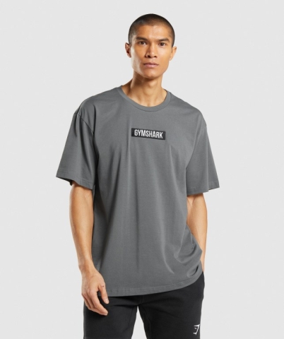 Grey Gymshark Central Oversized Men's T Shirts | US-91YBRNH