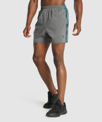 Grey Gymshark Graphic Sport Men's Shorts | US-21PFCDY