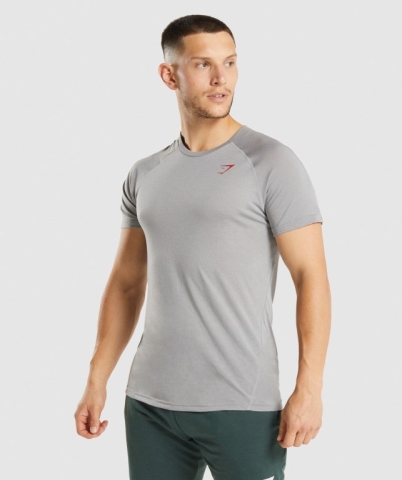 Grey Gymshark Hyper Power Men's T Shirts | US-96EGNIL