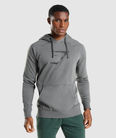 Grey Gymshark Sharkhead Infill Men's Hoodies | US-12NAWHS