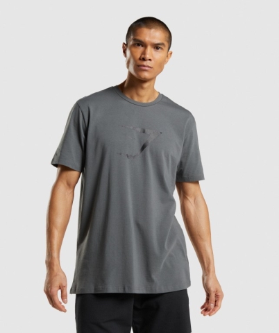 Grey Gymshark Sharkhead Infill Men's T Shirts | US-69VRKXP