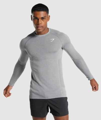 Grey Gymshark Vital Light Seamless Men's T Shirts | US-69DIRAN