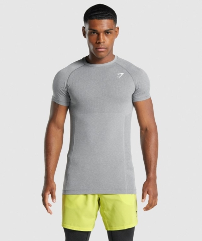 Grey Gymshark Vital Light Seamless Men's T Shirts | US-90CPMTE