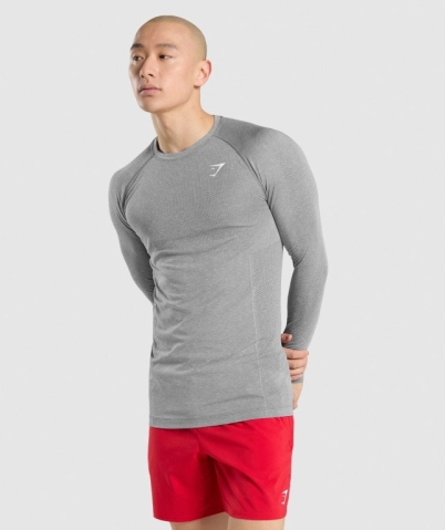 Grey Gymshark Vital Seamless Men's T Shirts | US-08VSGFQ