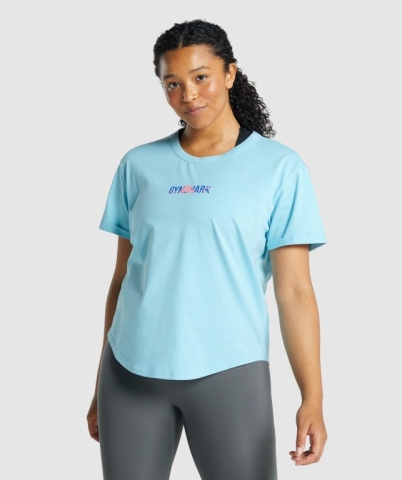 Light Blue Gymshark Apollo Graphic Women's T Shirts | US-92MIJBS