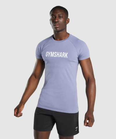 Light Blue Gymshark Apollo Men's T Shirts | US-98IJTMF