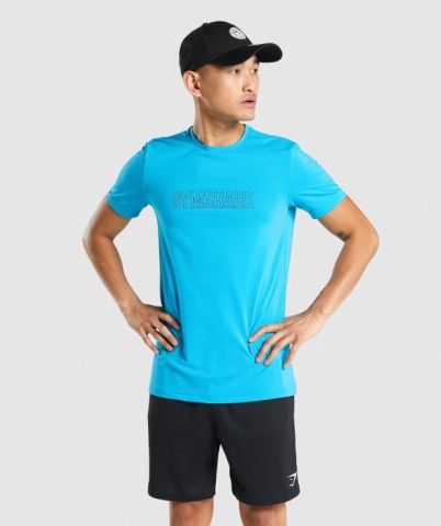 Light Blue Gymshark Arrival Graphic Men's T Shirts | US-90HSFZO