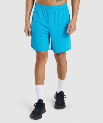 Light Blue Gymshark Arrival Knitted Men's Shorts | US-46XOSUJ