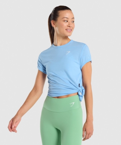 Light Blue Gymshark Essential Women's T Shirts | US-96DAGNM