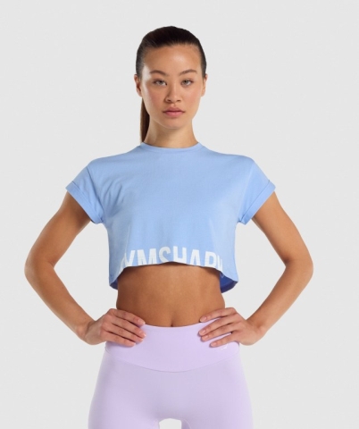 Light Blue Gymshark Fraction Crop Top Women's Sweatshirts | US-61GVHKD