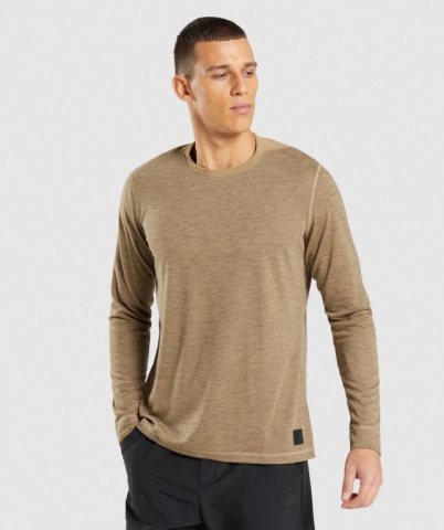 Light Brown / Grey Gymshark Retake Men's T Shirts | US-54NAVEK