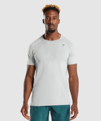 Light Grey / Grey Gymshark Apex Perform Men's T Shirts | US-86AKRPD