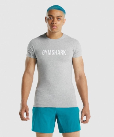 Light Grey Gymshark Apollo Men's T Shirts | US-96VIKDF