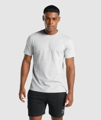 Light Grey Gymshark Crest Men's T Shirts | US-04QHPTO