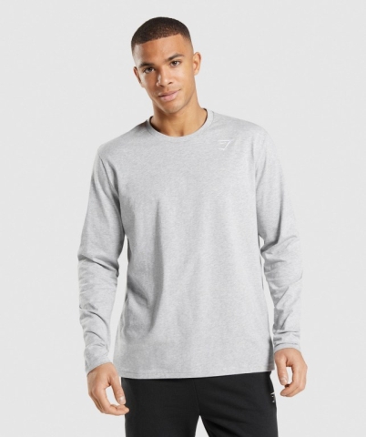 Light Grey Gymshark Crest Men's T Shirts | US-43FHCAM