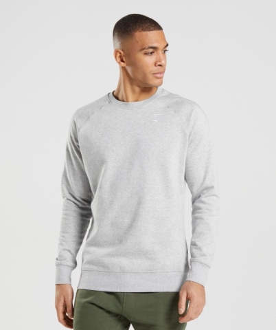 Light Grey Gymshark Crest Sweatshirt Men's Hoodies | US-30IDECT